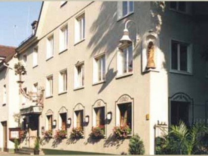Foto: Grüner Baum  